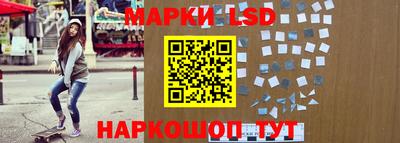 гидропоника Будённовск