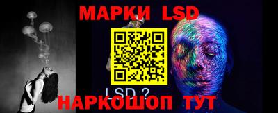 гидропоника Будённовск