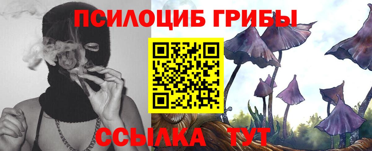 Галлюциногенные грибы Psilocybe  Псилоцибиновые грибы ЛСД  Вход с VPN  Балашов 